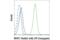 Nuclear Factor Of Activated T Cells 2 antibody, 14335S, Cell Signaling Technology, Flow Cytometry image 