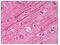 Tubulin Alpha 1b antibody, AP07868PU-N, Origene, Immunohistochemistry paraffin image 