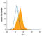 Interleukin 9 antibody, AF4134, R&D Systems, Flow Cytometry image 