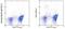 CD11C antibody, 25-0114-81, Invitrogen Antibodies, Flow Cytometry image 