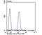 Ribonuclease 3 antibody, NBP2-75475, Novus Biologicals, Flow Cytometry image 