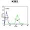 Retinol Dehydrogenase 16 antibody, abx032526, Abbexa, Flow Cytometry image 