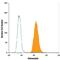 BGP antibody, IC1419G, R&D Systems, Flow Cytometry image 