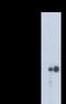 Enolase 2 antibody, NBP2-50533, Novus Biologicals, Western Blot image 