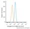 Endoglin antibody, NB500-452PCP, Novus Biologicals, Flow Cytometry image 