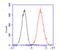 BRCA1/BRCA2-Containing Complex Subunit 3 antibody, NBP1-30429, Novus Biologicals, Flow Cytometry image 