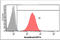 Keratin 14 antibody, GTX57611, GeneTex, Flow Cytometry image 