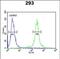 Transcription Elongation Regulator 1 Like antibody, PA5-49653, Invitrogen Antibodies, Flow Cytometry image 