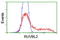 RuvB Like AAA ATPase 2 antibody, TA504281, Origene, Flow Cytometry image 