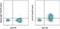 Interleukin 7 Receptor antibody, 45-1278-41, Invitrogen Antibodies, Flow Cytometry image 