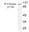 Phosphatidylinositol-4,5-Bisphosphate 3-Kinase Catalytic Subunit Alpha antibody, LS-C177522, Lifespan Biosciences, Western Blot image 