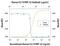 C-C Motif Chemokine Ligand 19 antibody, PA5-46940, Invitrogen Antibodies, Neutralising image 