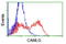 CAMLG antibody, TA504636, Origene, Flow Cytometry image 