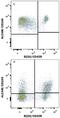 Activated Leukocyte Cell Adhesion Molecule antibody, FAB1172N, R&D Systems, Flow Cytometry image 
