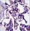 CREB Regulated Transcription Coactivator 2 antibody, LS-C167060, Lifespan Biosciences, Immunohistochemistry frozen image 