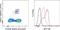 Interferon Regulatory Factor 7 antibody, 12-5829-80, Invitrogen Antibodies, Flow Cytometry image 