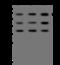 PTPN11 antibody, 310534-T36, Sino Biological, Western Blot image 