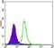 SMAD Family Member 5 antibody, GTX60384, GeneTex, Flow Cytometry image 