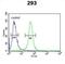 Threonyl-TRNA Synthetase Like 2 antibody, abx034047, Abbexa, Flow Cytometry image 