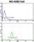 Protein C Receptor antibody, abx031769, Abbexa, Western Blot image 