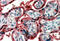 Ghrelin And Obestatin Prepropeptide antibody, MBS421239, MyBioSource, Immunohistochemistry frozen image 