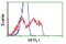 Ret Finger Protein Like 1 antibody, NBP2-02835, Novus Biologicals, Flow Cytometry image 