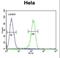 Adenylate Cyclase 4 antibody, LS-C156067, Lifespan Biosciences, Flow Cytometry image 