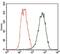 Tubulin beta-2A chain antibody, GTX60773, GeneTex, Flow Cytometry image 