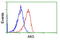 Adenylate Kinase 5 antibody, GTX84921, GeneTex, Flow Cytometry image 