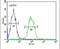 Transmembrane Protein 150A antibody, PA5-26373, Invitrogen Antibodies, Flow Cytometry image 