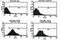 Kv3.1b Potassium Channel antibody, orb108848, Biorbyt, Flow Cytometry image 