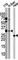 Autophagy Related 5 antibody, abx030047, Abbexa, Western Blot image 