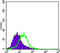 Keratin 15 antibody, abx011778, Abbexa, Enzyme Linked Immunosorbent Assay image 