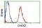 Checkpoint Kinase 2 antibody, NBP1-47695, Novus Biologicals, Flow Cytometry image 