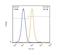 Guanylate kinase antibody, NBP2-23758, Novus Biologicals, Flow Cytometry image 