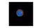 LCK Proto-Oncogene, Src Family Tyrosine Kinase antibody, 2787P, Cell Signaling Technology, Immunofluorescence image 