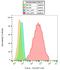 Platelet Derived Growth Factor Receptor Alpha antibody, AM12068AC-N, Origene, Flow Cytometry image 