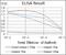 Ribosomal Protein S6 Kinase B1 antibody, NBP2-22205, Novus Biologicals, Enzyme Linked Immunosorbent Assay image 