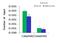 CCCTC-Binding Factor antibody, PA5-41514, Invitrogen Antibodies, Chromatin Immunoprecipitation image 