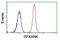 RFXK antibody, NBP2-01756, Novus Biologicals, Flow Cytometry image 