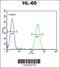 F-Box And WD Repeat Domain Containing 11 antibody, 55-709, ProSci, Flow Cytometry image 