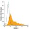 SSEA3 antibody, FAB1434G, R&D Systems, Flow Cytometry image 