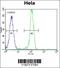 PKB beta antibody, 62-604, ProSci, Flow Cytometry image 