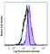 Oxidized Low Density Lipoprotein Receptor 1 antibody, 358603, BioLegend, Flow Cytometry image 