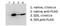 BicC Family RNA Binding Protein 1 antibody, GTX88158, GeneTex, Immunoprecipitation image 