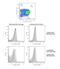 PR/SET Domain 1 antibody, NB600-235B, Novus Biologicals, Flow Cytometry image 