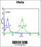 Replication Factor C Subunit 5 antibody, 61-523, ProSci, Immunofluorescence image 