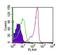 Semaphorin 4D antibody, NBP2-25198, Novus Biologicals, Flow Cytometry image 