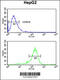 Ring Finger Protein 208 antibody, 62-029, ProSci, Flow Cytometry image 