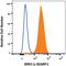 Scavenger Receptor Class F Member 1 antibody, MAB2409, R&D Systems, Western Blot image 